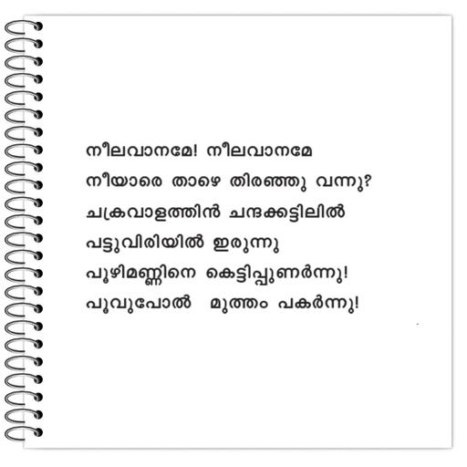 Picture of the product