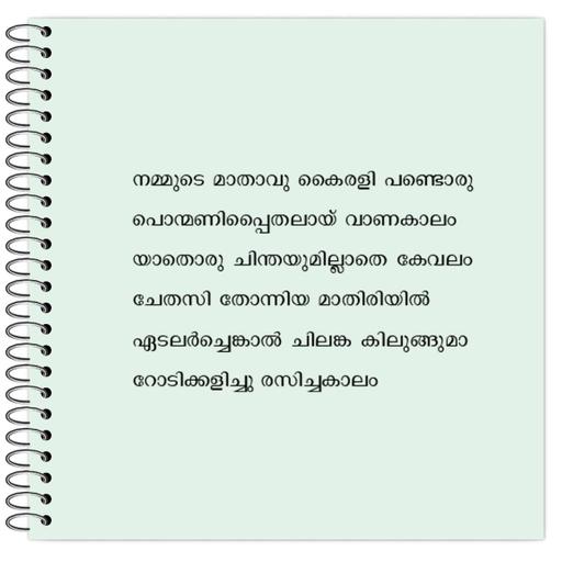 Picture of the product