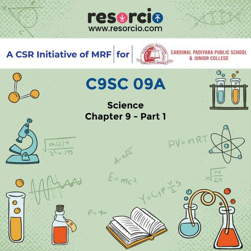 Picture of the product