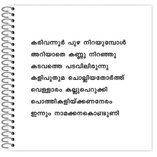 Picture of the product