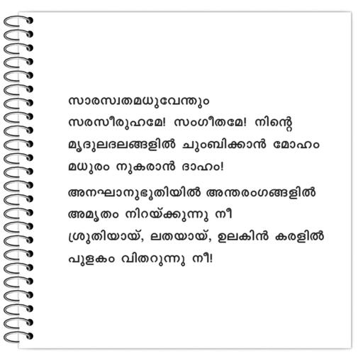 Picture of the product