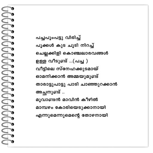 Picture of the product