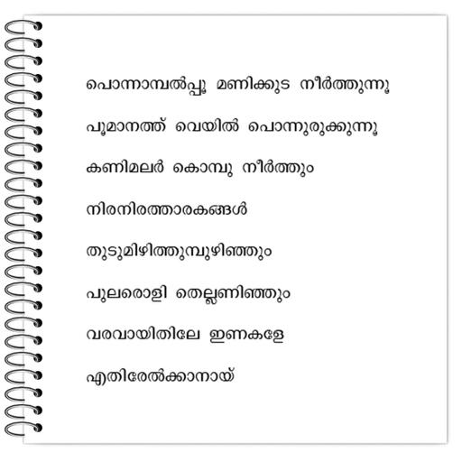 Picture of the product