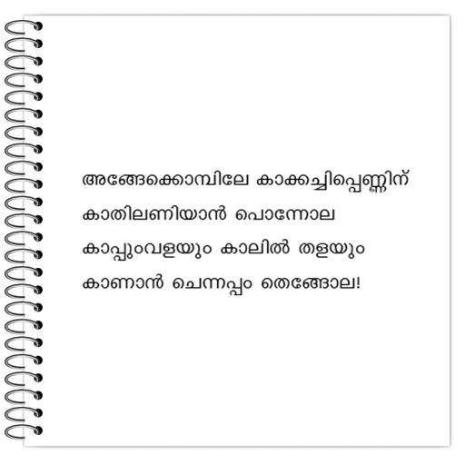 Picture of the product