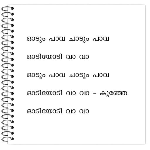 Picture of the product