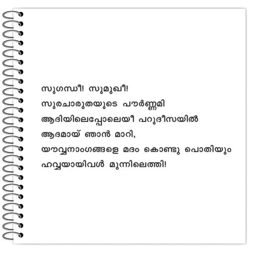 Picture of the product