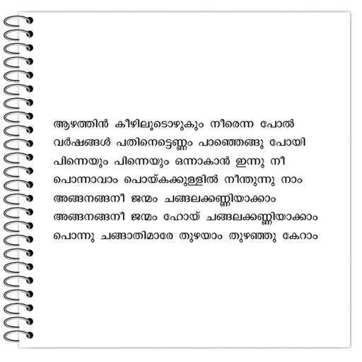 Picture of the product