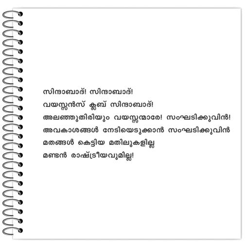 Picture of the product