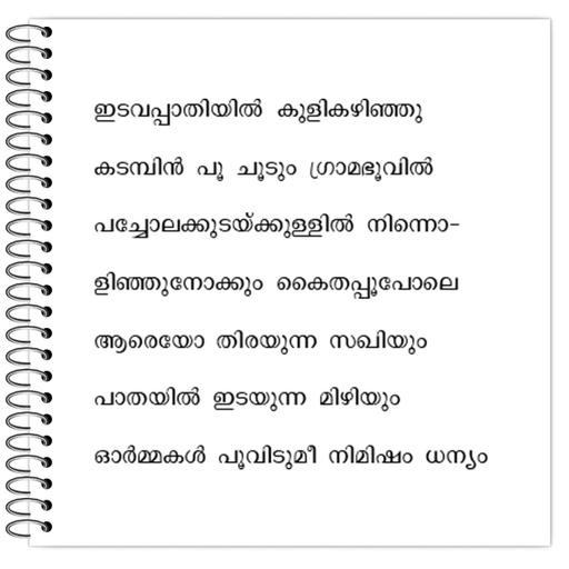 Picture of the product