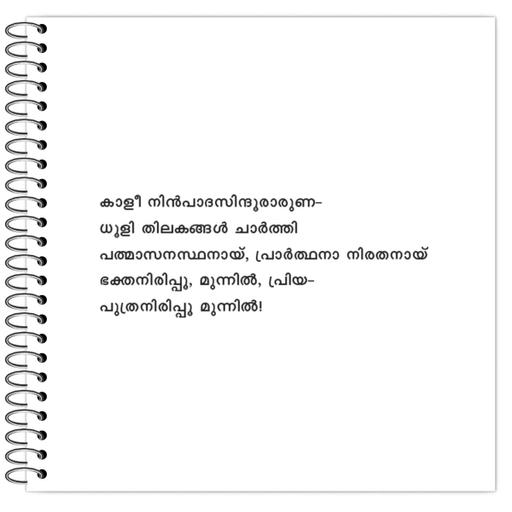 Picture of the product