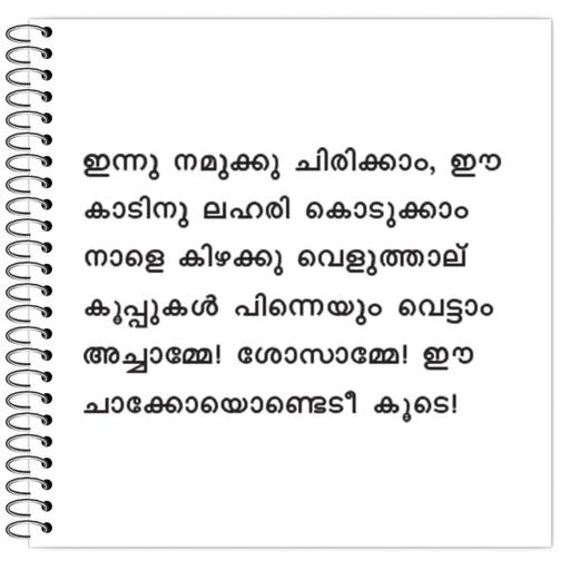 Picture of the product