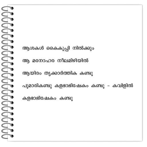 Picture of the product