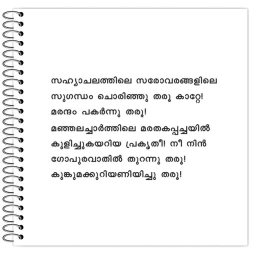 Picture of the product