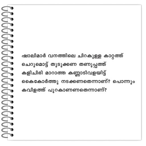 Picture of the product