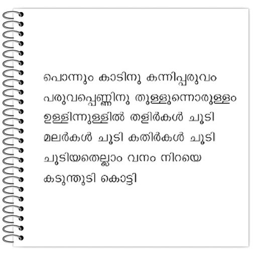 Picture of the product