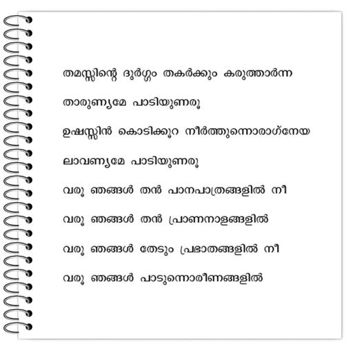 Picture of the product