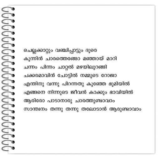 Picture of the product