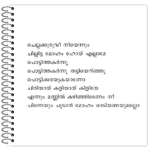 Picture of the product