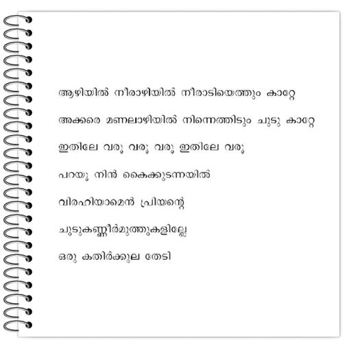 Picture of the product