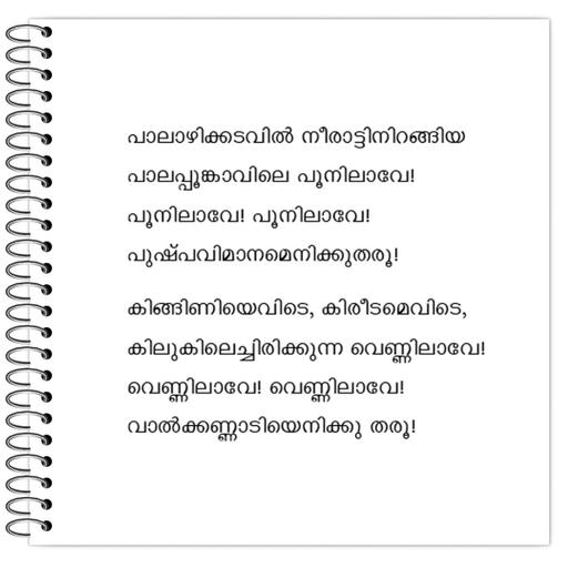 Picture of the product