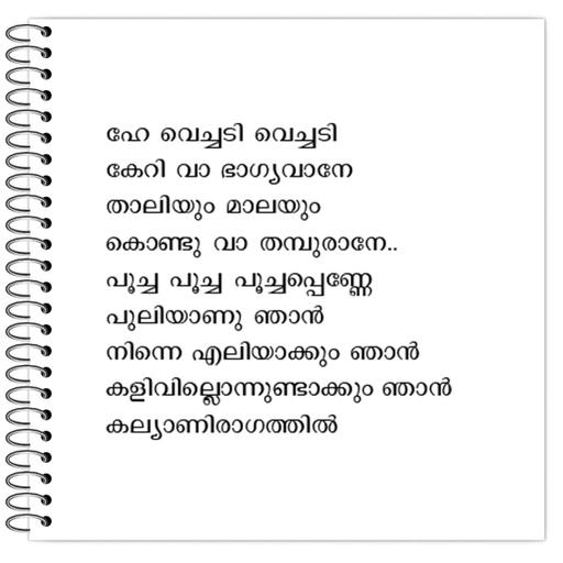 Picture of the product