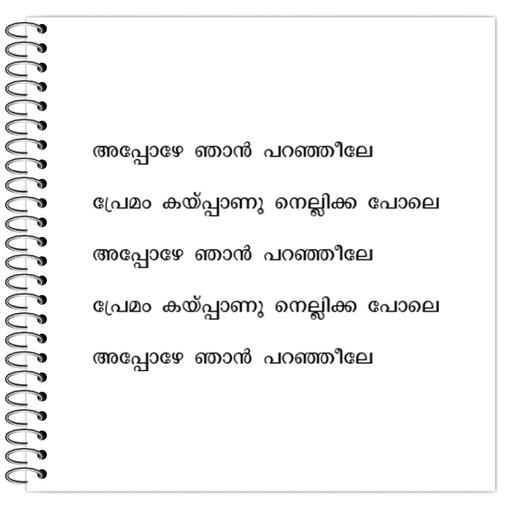 Picture of the product