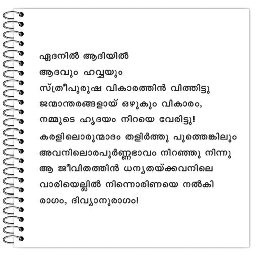 Picture of the product