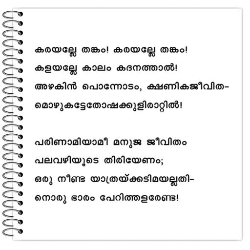 Picture of the product