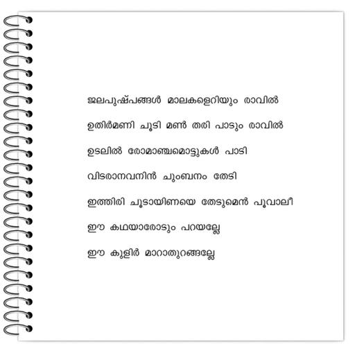 Picture of the product