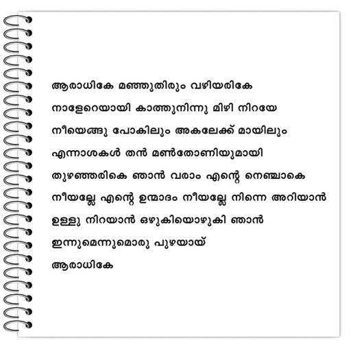 Picture of the product