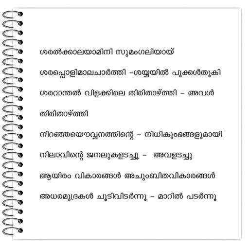 Picture of the product