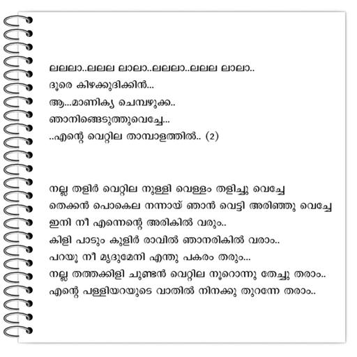 Picture of the product