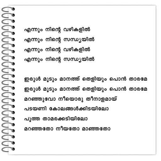 Picture of the product