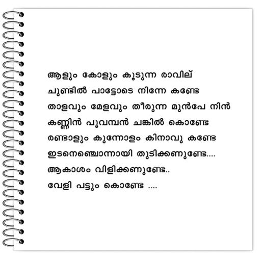 Picture of the product