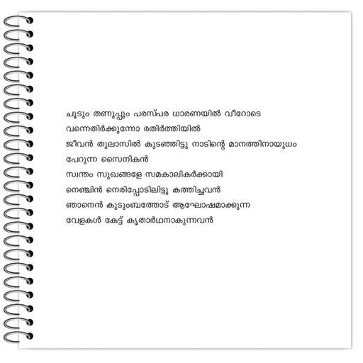 Picture of the product