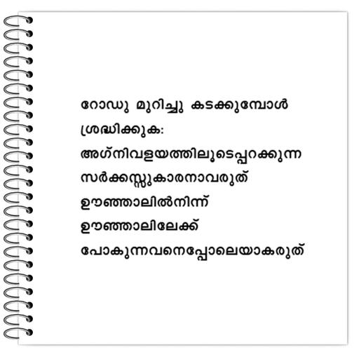 Picture of the product