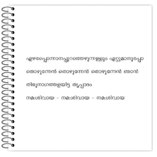 Picture of the product