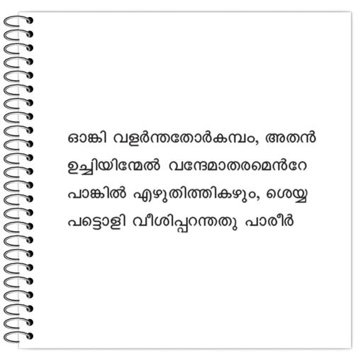 Picture of the product