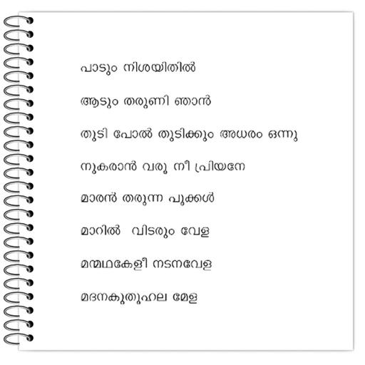 Picture of the product