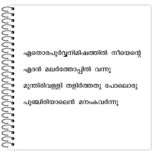 Picture of the product