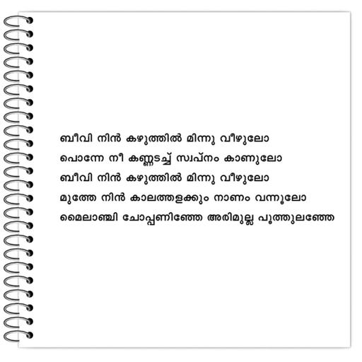 Picture of the product