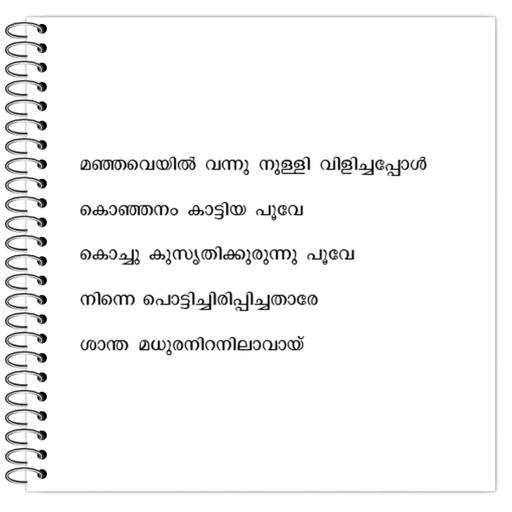 Picture of the product