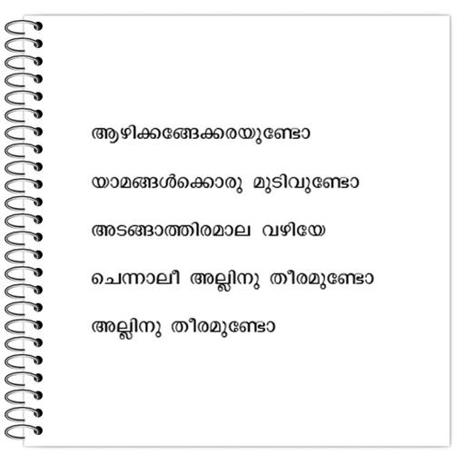 Picture of the product