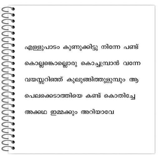 Picture of the product