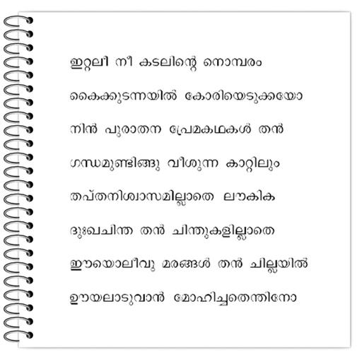 Picture of the product