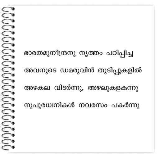 Picture of the product