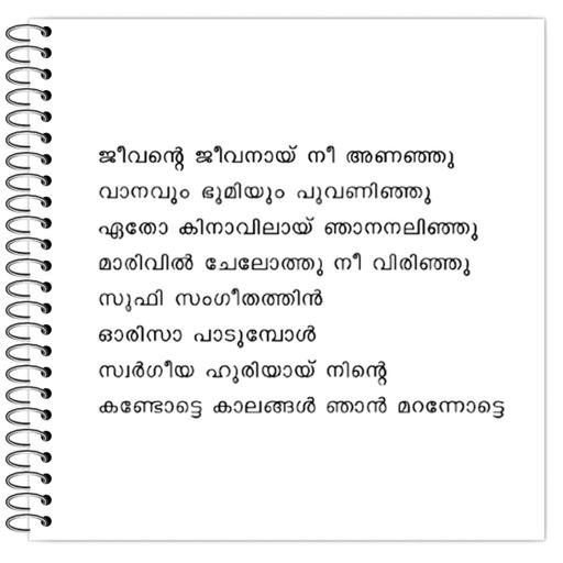 Picture of the product