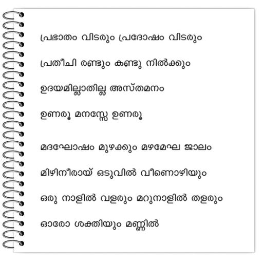 Picture of the product