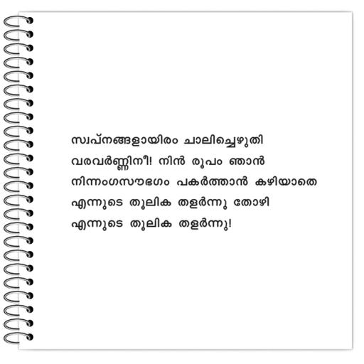 Picture of the product