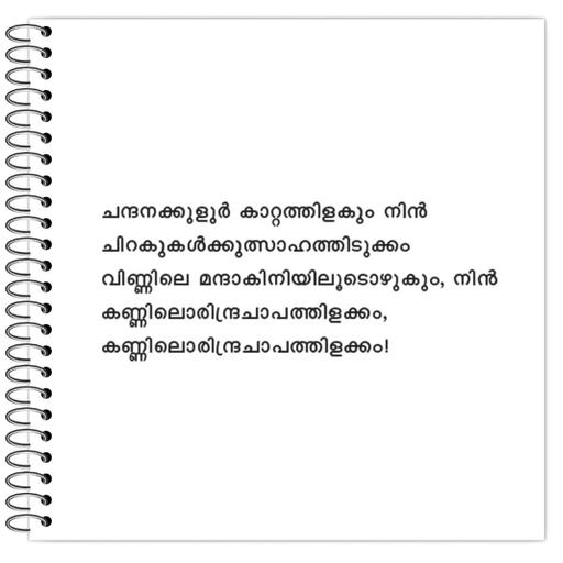 Picture of the product